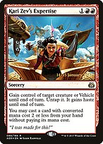 Kari Zev's Expertise