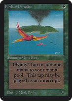 Birds of Paradise thumbnail