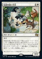 569a1972-8259-4aaa-a118-