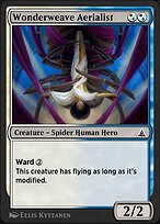 Skyward Spider