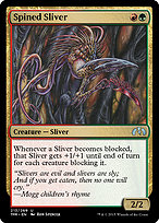 Spined Sliver