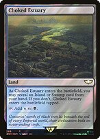 Choked Estuary