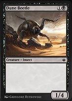 Dune Beetle