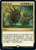 ラスト一枚【美品】Moat　MTG　イタリア語　希少　限定品　EDH ラスト一枚【美品】Moat レジェンド イタリア語 希少 限定品 EDH