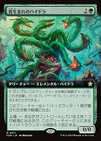 苔生まれのハイドラ (Mossborn Hydra) · Foundations (FDN) #471