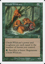 Uktabi Wildcats