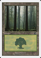 Forest