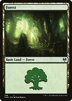 Forest