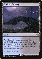 Choked Estuary