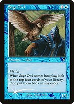 Sage Owl