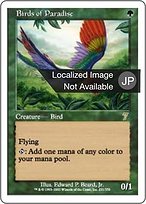 極楽鳥　Birds of Paradise 直筆サイン入りアートプリント １枚 Mark Poole氏直筆サイン入りアートプリント 複製原画 極楽鳥 MTG