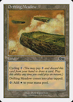 Drifting Meadow