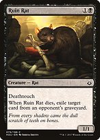 Ruin Rat