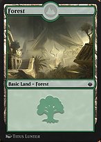 Forest