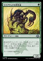 mtg 初版foil ワイアウッドの共生虫 日本語 jp 2枚セット ワイアウッドの共生虫 (Wirewood Symbiote) · Modern Horizons 3