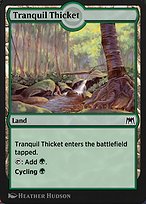 Tranquil Thicket