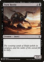 Dune Beetle