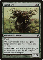 Briarhorn