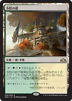 MTG 寺院の庭　英語　foil 旧枠　シリアル　ダブルレインボウ　ラヴニカ 旧枠仕様)寺院の庭/Temple Garden《日本語》【RVR】