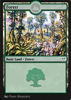 Forest