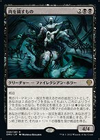 【呪物】強運黒魔術師「アルネリス」様謹製のリング※Michael商品 Jewel of the Dark Magician - Yugipedia