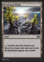 Evolving Wilds