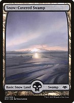 Snow-Covered Swamp