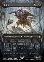 年老いた骨齧り　英語 ミントモール / MINT GAMES MTG(東日本橋) / 【AFR】【ENG