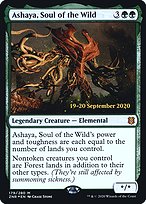 Ashaya, Soul of the Wild