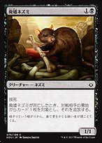 MtG 【Foil】墓所のネズミ【7ED】日本語 146)《カーサスへの侵攻/Invasion of Karsus》/《屈折