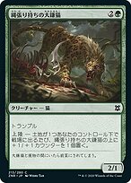 ミントモール / MINT GAMES MTG(東日本橋) / 【J25】【JPN