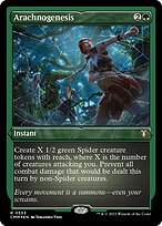 Arachnogenesis