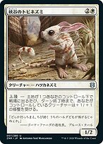不毛の大地　日本語　4枚セット　zendikar expedition 岸袭屈东(Zendikar Rising Commander) - Gatherer - Magic: The