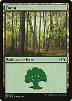 Forest