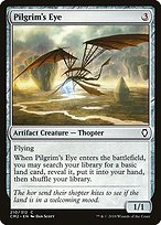 Pilgrim's Eye