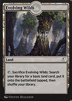 Evolving Wilds