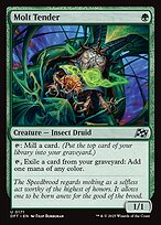 Molt Tender