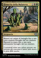 【イタリア語】Malaterra/Badlands　MTGマジックザギャザリング イタリア語】Malaterra/Badlands MTGマジックザギャザリング