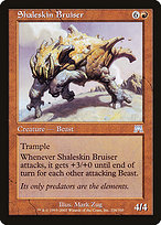 Shaleskin Bruiser