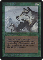 Aspect of Wolf thumbnail