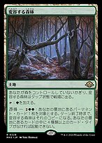 MtG 【APAC3】森/Forest プレイド4枚セット Magic MTG - Forest (Eyes) - Japanese Limited FBB 4th Edition